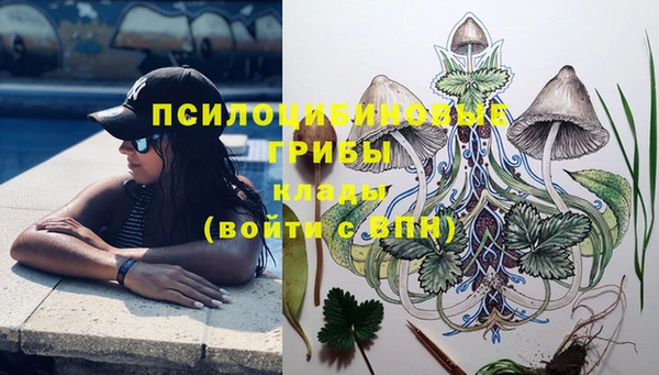 кристаллы Белокуриха