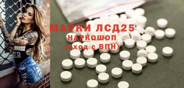 ГАЛЛЮЦИНОГЕННЫЕ ГРИБЫ Беломорск