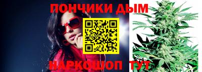 гидропоника Бийск