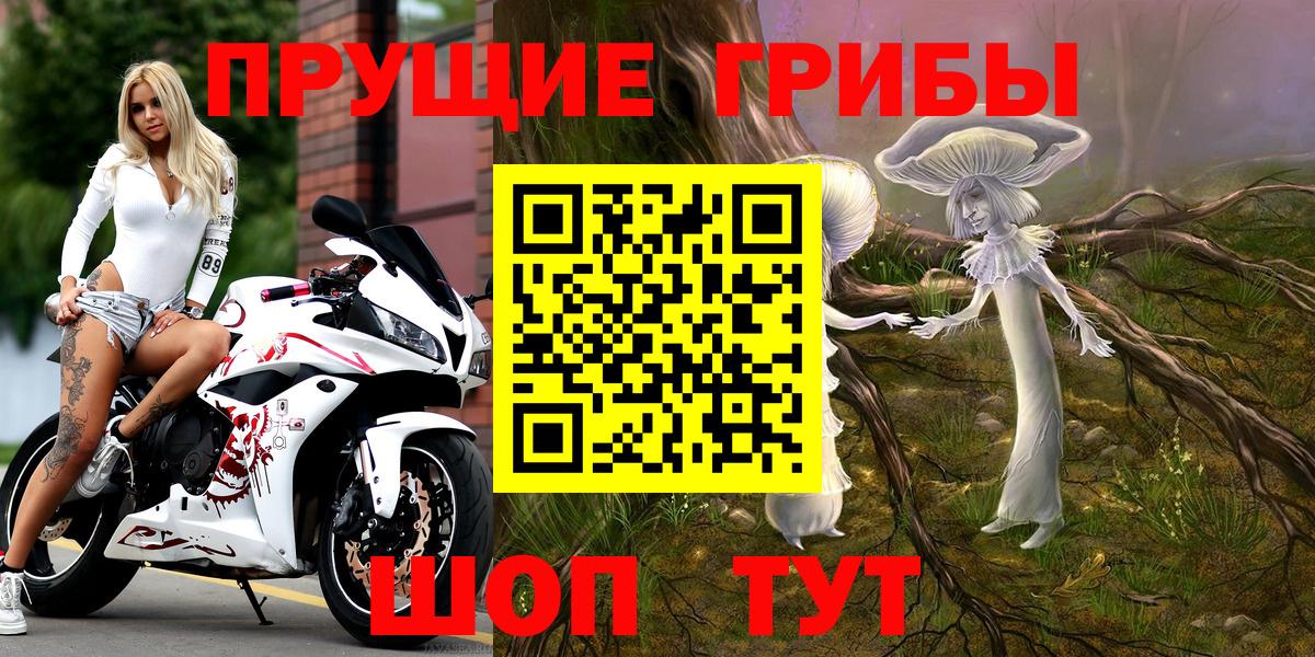 Галлюциногенные грибы Psilocybe  Бузулук  Псилоцибиновые грибы Psilocybe 